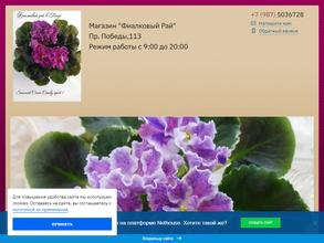 Фиалковый рай