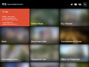 Проектдевелопмент