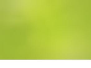 Студия Алины Рамазановой