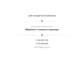 Щербаков, Степанова и партнеры