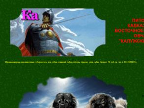 Калужский витязь