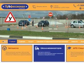 Профессионал