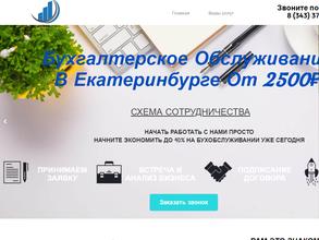 Профессиональный бухгалтер