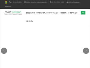 Аленушка НГО