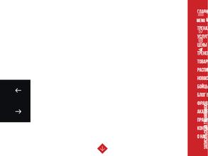 Alania Fighting Team