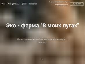 В МОИХ ЛУГАХ