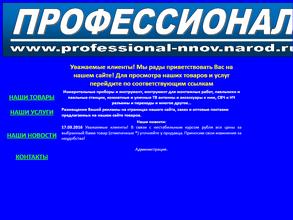 Профессионал-ННОВ