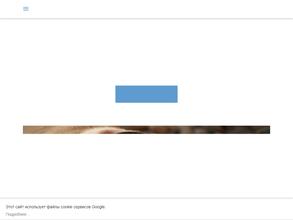 Магазин зоотоваров