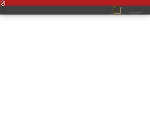 Гамма-строй