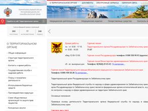 Территориальный орган Федеральной службы по надзору в сфере здравоохранения