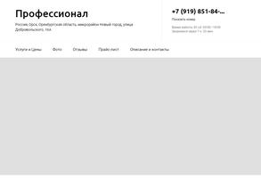 Профессионал