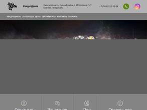 Квадродрайв