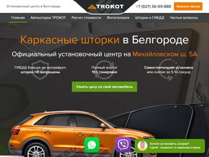 Автошторки31