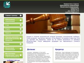 Арбитражный финансовый управляющий Баранов В.А.