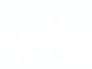 Буль и Булька