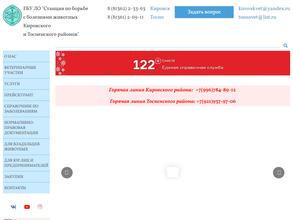 Мгинский ветучасток