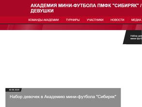 Академия мини-футбола