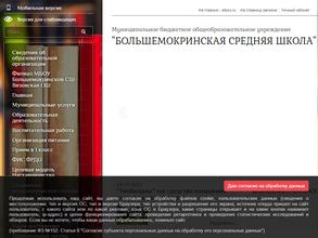 Большемокринская средняя школа