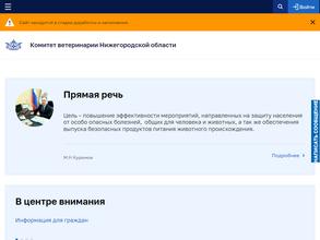 Правительство Нижегородской области