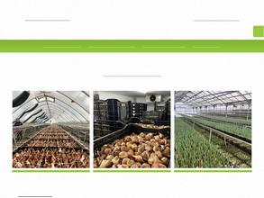 Ястребовка