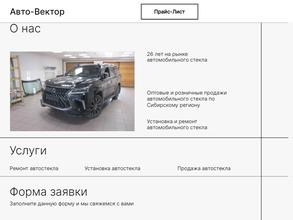 Авто Вектор