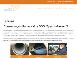 Группа феникс