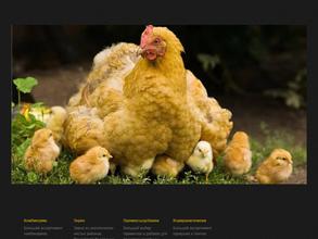 Магазин кормовой