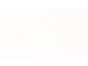 Лиса в бигудях