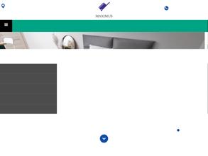 Maximus на Торфяной