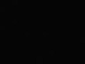 Алиса в стране чудес