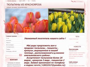 Тюльпаны из Красноярска