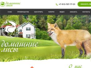 Питомник домашних лисиц