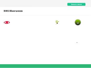 Мингалеев Р.Н.