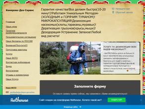 Кемерово дез сервис