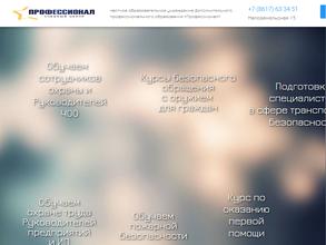 Профессионал