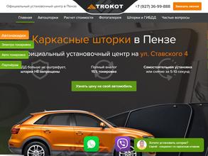 Автошторки58