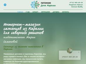 Дача Карелии