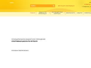 Кожаный мяч Романа Павлюченко