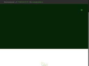 Мир электрика