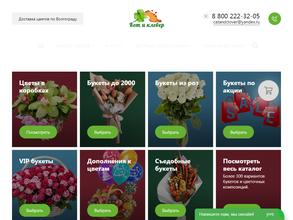 Кот и клевер