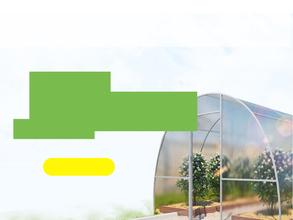 Тепличка Омичка