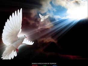 Центр ритуальных услуг для животных