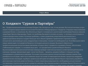 Сурков и партнеры
