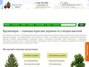 Газоны Урала