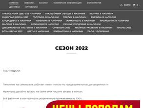 Саженцы на золотарях