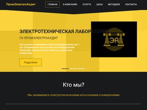 Промэлектроаудит