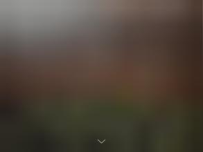 Рождественские горки