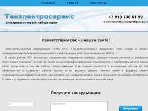 Техэлектросервис