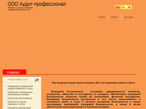 Аудит-профессионал