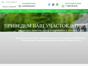 Расчистка профи